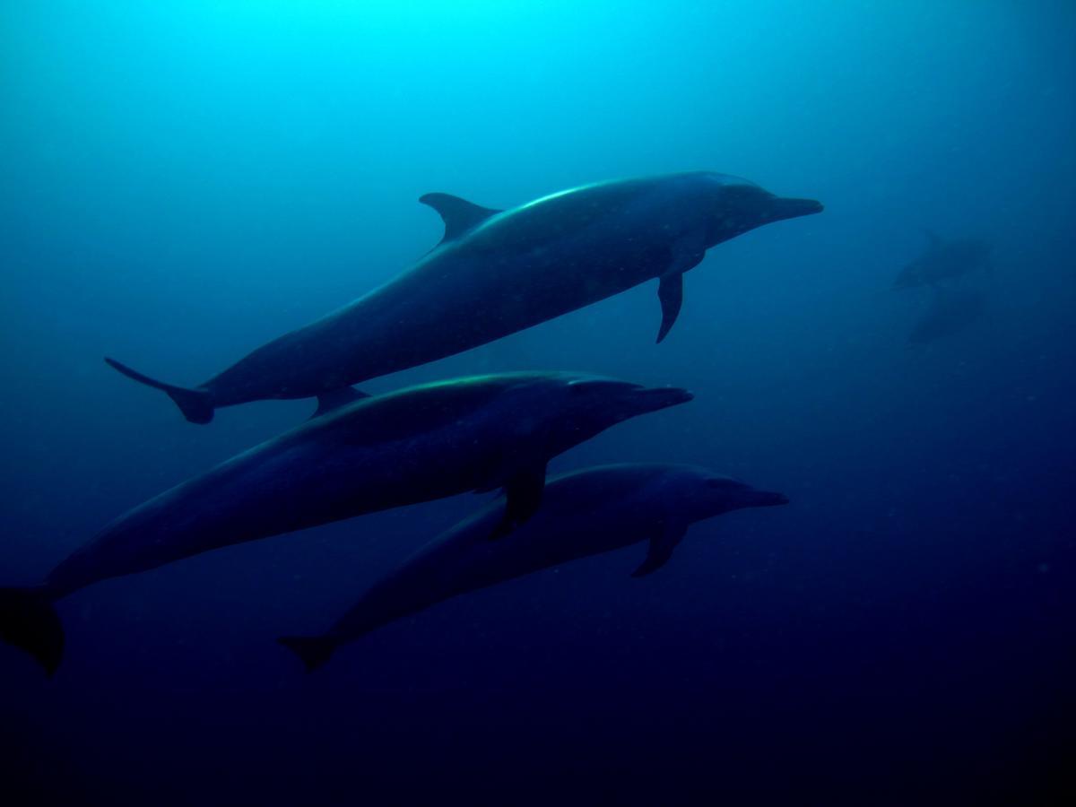 Sakatia Lodge Ampasimena Eksteriør bilde