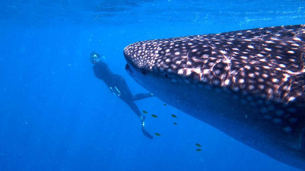 Sakatia Lodge Ampasimena Eksteriør bilde